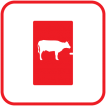 animal pass-doors